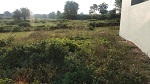 Residential land / Plot in Sai dham colony